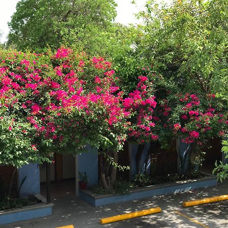 Hotel Hacienda Del Viejo 马塔莫罗斯 外观 照片