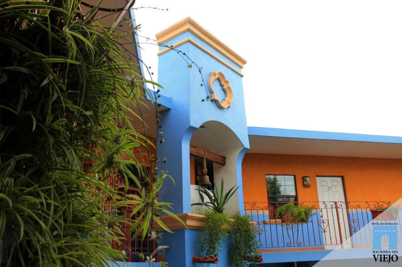 Hotel Hacienda Del Viejo 马塔莫罗斯 外观 照片