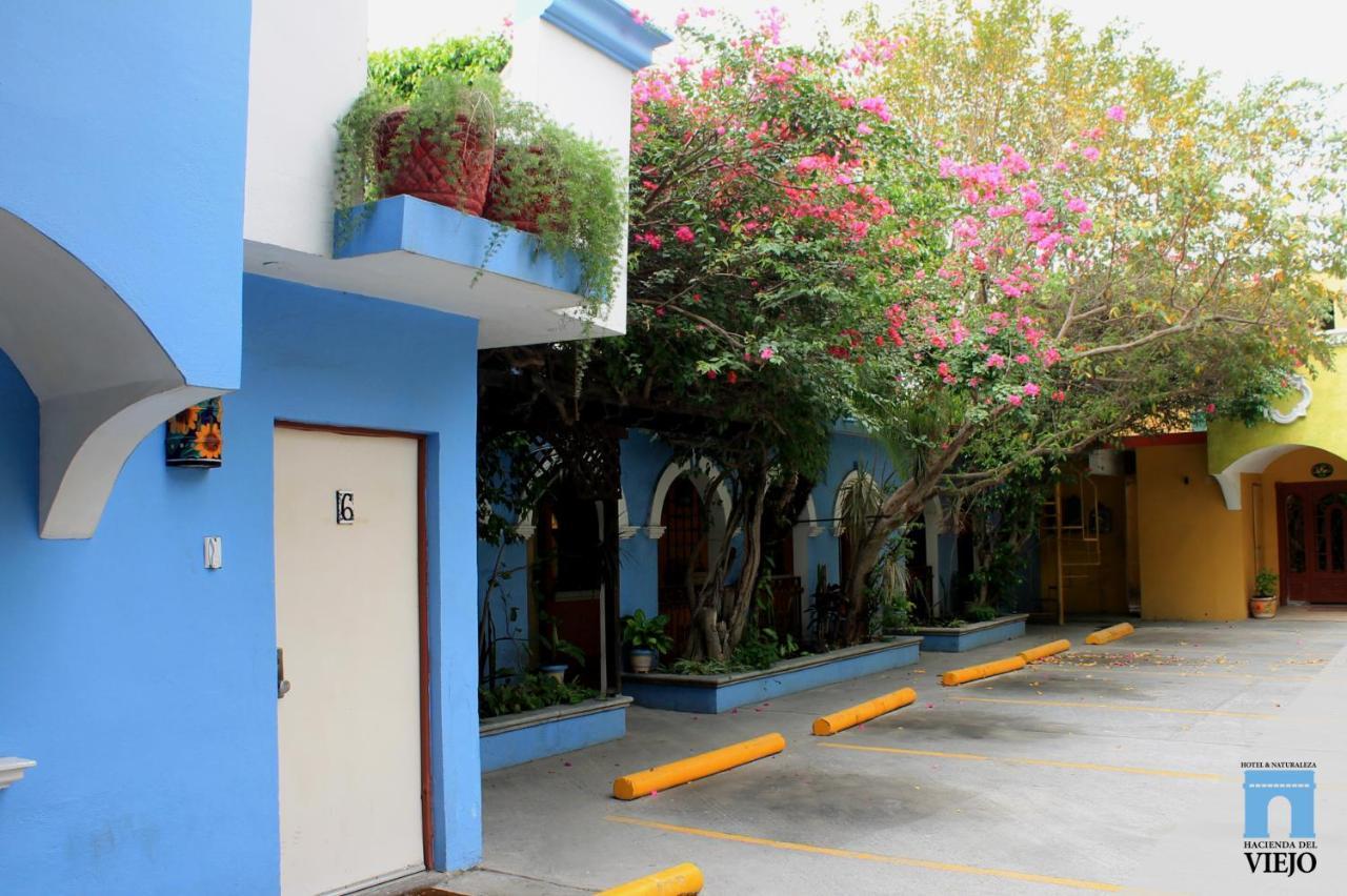 Hotel Hacienda Del Viejo 马塔莫罗斯 外观 照片
